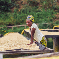 Ruanda nerede, hangi kıtada yer alır?