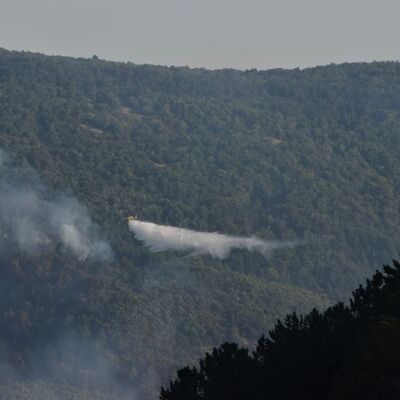 Bilecik'te orman yangını çıktı