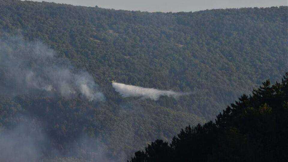 Bilecik'te orman yangını çıktı