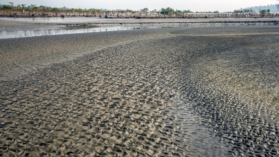 Alüvyal toprak nedir, özellikleri neler?