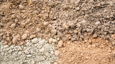 Zonal toprak nedir, özellikleri neler?