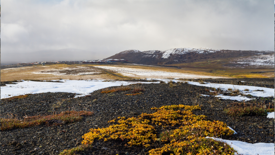Tundra toprak nedir, özellikleri neler?