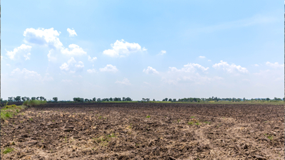 Step toprak nedir, özellikleri neler?