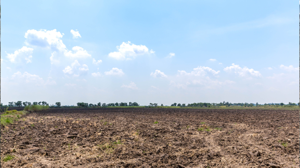 Step toprak nedir, özellikleri neler?