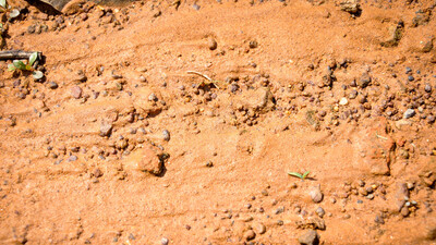 Laterit toprak nedir, özellikleri neler?