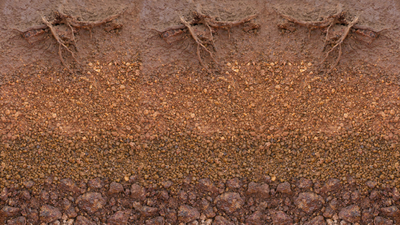 Azonal topraklar nelerdir?