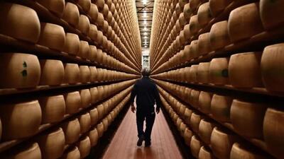 İtalya'da binlerce peynir tekerleği üzerine düşen bir üretici öldü