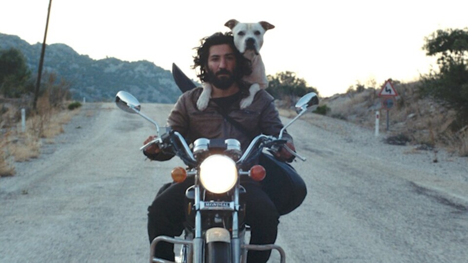 Foça'da 5 gece bağımsız film şenliği var