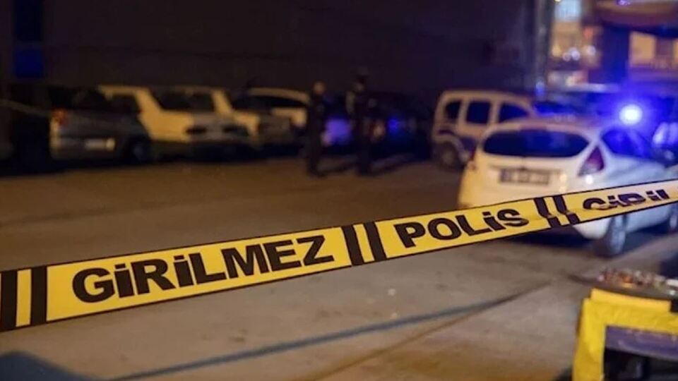 Kavgayı ayırmak istedi! Araya girdi öldü!