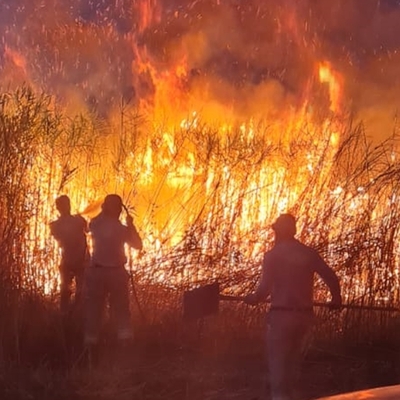 Son 9 günde çıkan orman yangını sayısı şaşkına çevirdi!