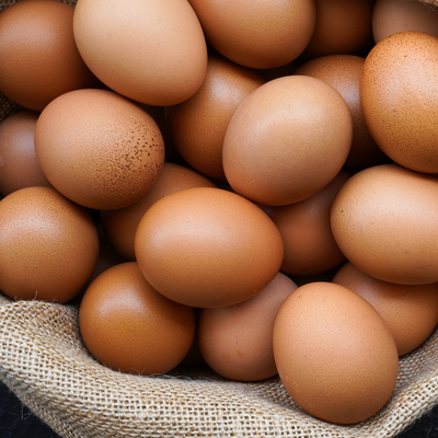 Sıcaklarda risk artıyor! Salmonella bakterisine dikkat!