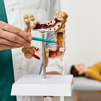 Bağırsak sağlığına en iyi gelen yiyecekler