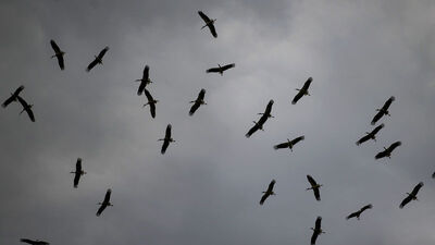 Akıma kapılmasınlar diye...