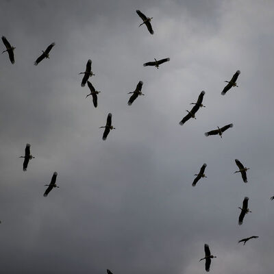 Akıma kapılmasınlar diye...