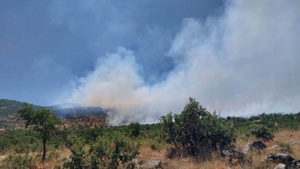 Diyarbakır'daki örtü yangını kontrol altında