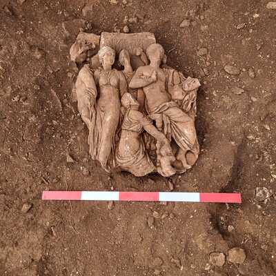 Mersin'de bulundu... Koruma altına alındı!