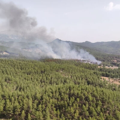 Antalya'da orman yangını çıktı