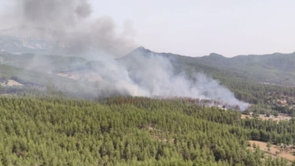 Antalya'da orman yangını çıktı