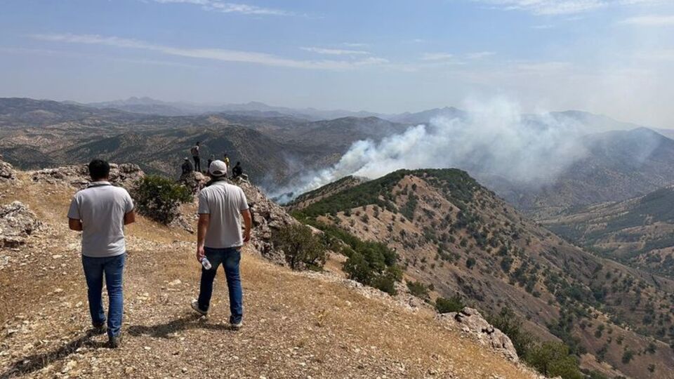 Bingöl'de ormanlık alanda yangın çıktı