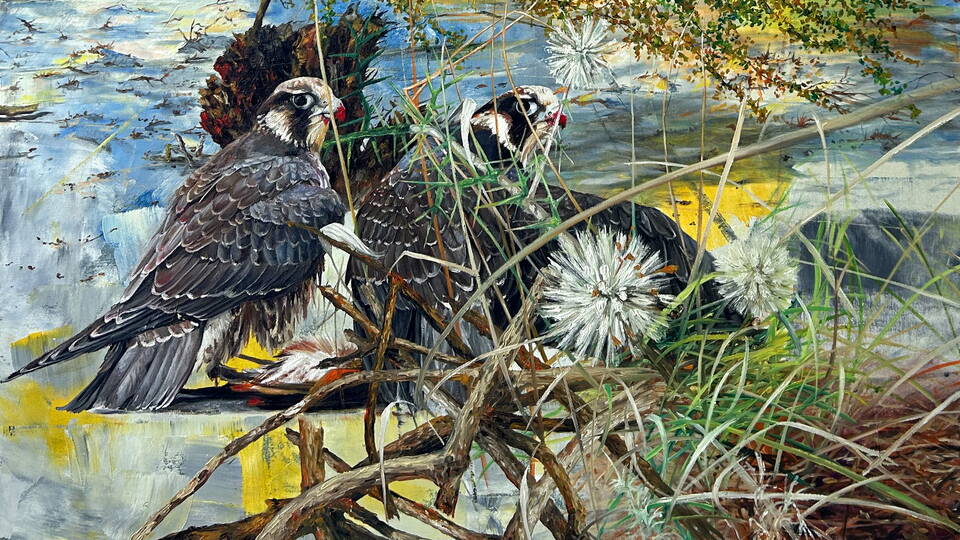 'Sezgi Çağı' 23 Ağustos'ta başlıyor