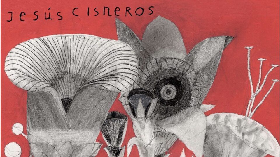 Jesus Cisneros İstanbul'a geliyor