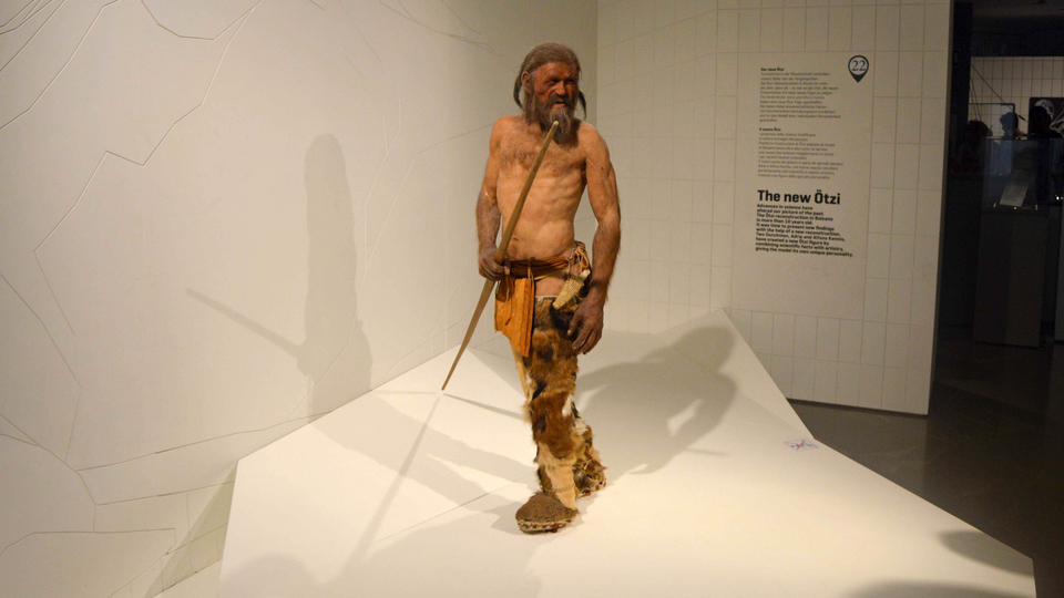 Buz adam Ötzi Anadolulu çıktı