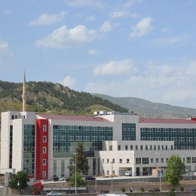 Eşini öldürdü kayınvalidesini yaraladı!