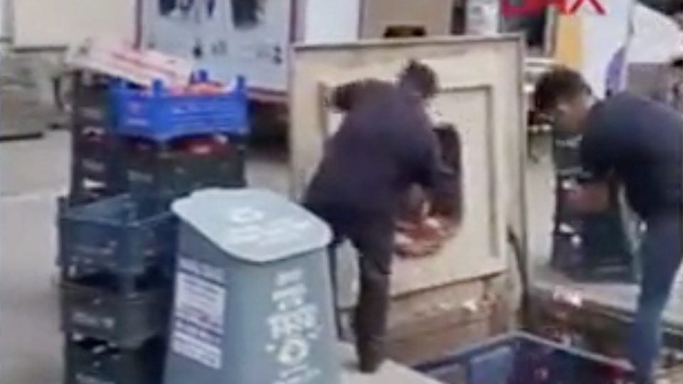 882 kilo domates çöp oldu! Ceza yağdı