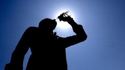 Afrika sıcakları yüzünden o hastalıklar arttı!