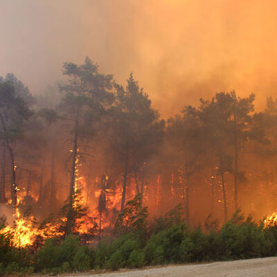Risk artıyor! Sebebi iklim değişikliği