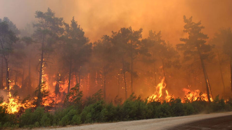 Risk artıyor! Sebebi iklim değişikliği