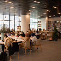 Optisyenlik bölümü nedir?