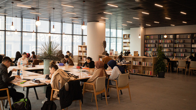 Optisyenlik bölümü nedir?