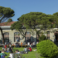 Ormancılık ve Orman Ürünleri bölümü nedir?