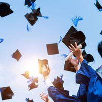 Avcılık ve Yaban Hayatı bölümü nedir?