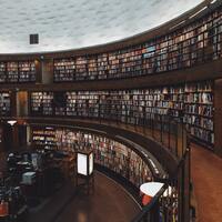 Bilgi Yönetimi bölümü nedir?