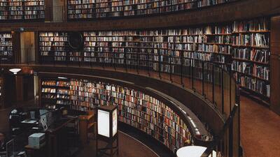 Bilgi Yönetimi bölümü nedir?