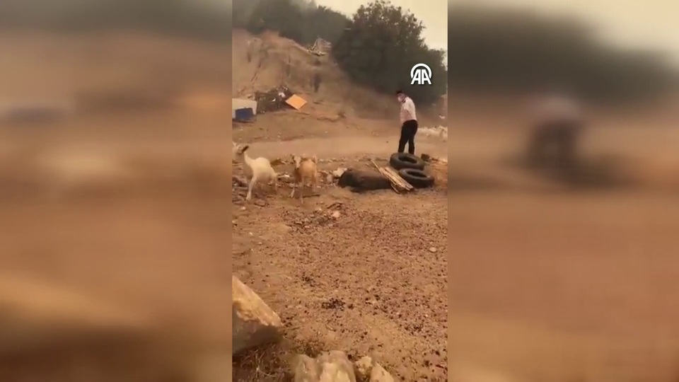 Komutan ve askerler, hayvanlar için seferber oldu!