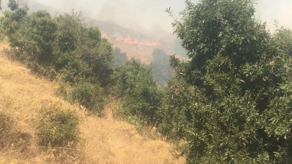 Bingöl'de çıkan orman yangını kontrol altında