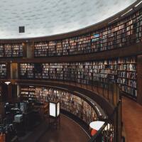 Menkul Kıymetler ve Sermaye Piyasası bölümü nedir?