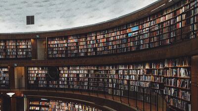 Menkul Kıymetler ve Sermaye Piyasası bölümü nedir?