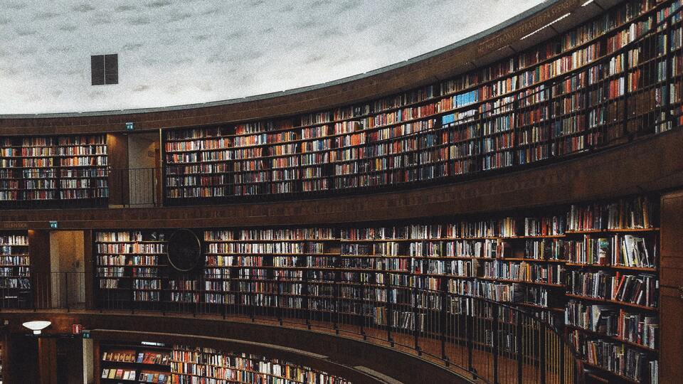 Menkul Kıymetler ve Sermaye Piyasası bölümü nedir?