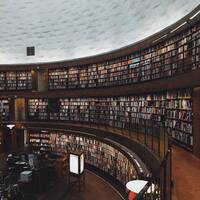 Marine ve Yat İşletmeciliği bölümü nedir?