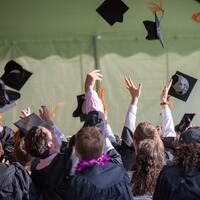 Mantarcılık bölümü nedir?