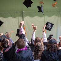 Kümes Hayvanları Yetiştiriciliği bölümü nedir?