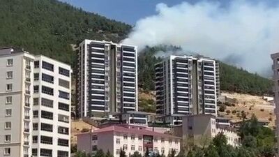 Kahramanmaraş'taki yangın söndürüldü