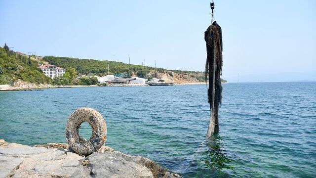 İzmit Körfezi'nden çıkarıldı: 43 bin metrekare