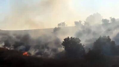 Diyarbakır'daki yangın kontrol altında