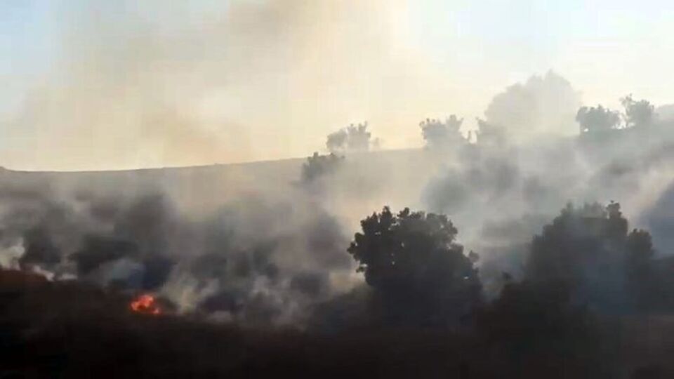 Diyarbakır'daki yangın kontrol altında