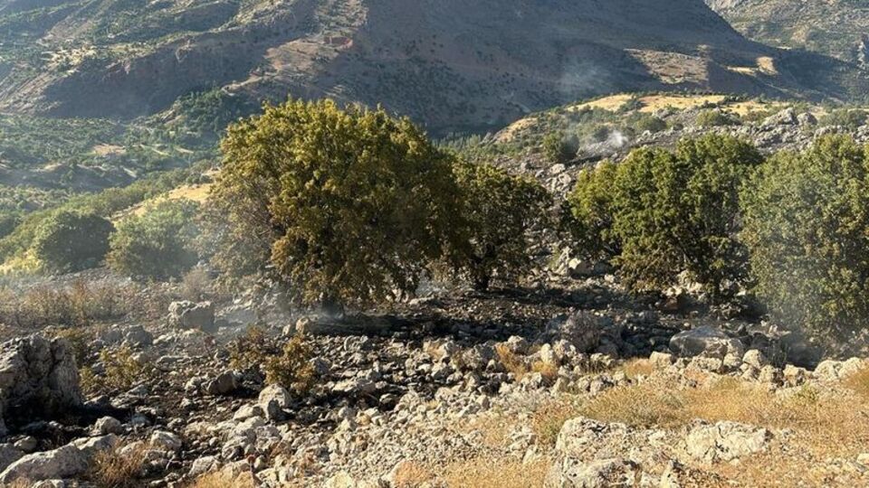 Malatya'da çıkan orman yangını söndürüldü